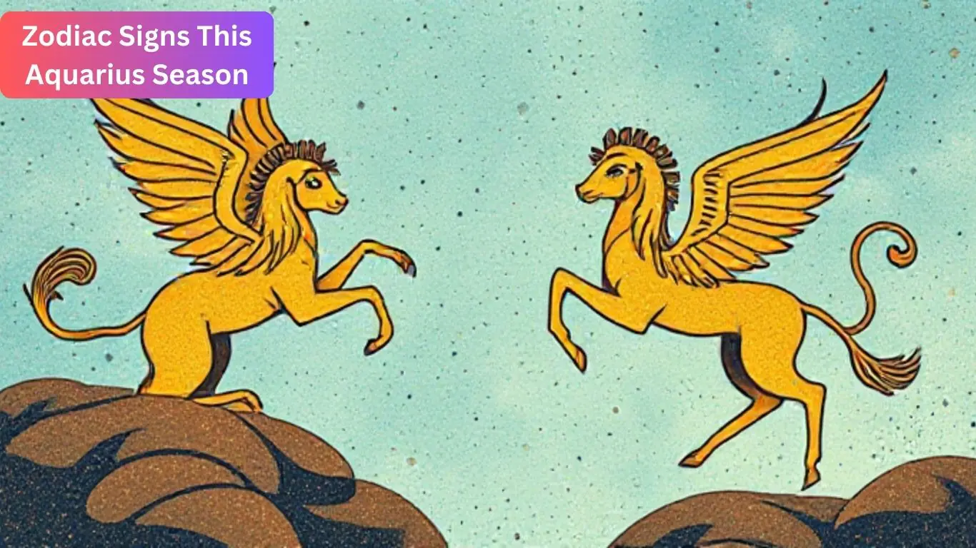 Zodiac Signs This Aquarius Season